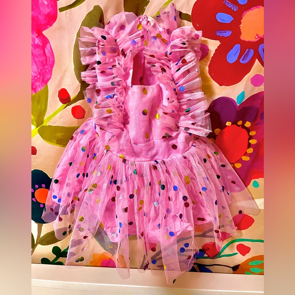 Princess party dress birthday dress pink colorful baby girl 12 mo dress tulle